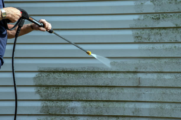 Best Graffiti Removal  in North Liberty, IN